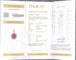 GIL Certified Yellow Gold 14K Natural Rubellite Tourmaline Cabochon Pendant - Image 2