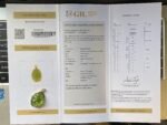 GIL Certified Yellow Gold 14K 11.21 Grams Natural Peridot Gemstone Pendant - Image 12