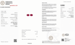 IGI Certified Yellow Gold 14K 1.73 Grams Natural Rubellite Tourmaline Gemstone Earrings - Image 7
