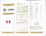 GIL Certified White Gold 14K 10.13 Grams Natural Kunzite Gemstone Earrings - Image 14