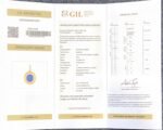 GIL Certified Yellow Gold 14K 1.45 Gram Natural Sapphire Gemstone Pendant - Image 9